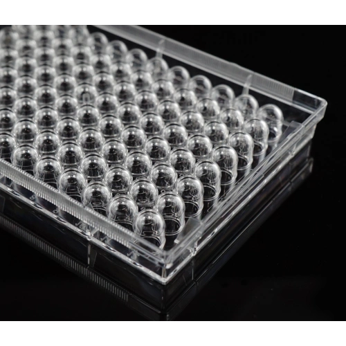 Non-Treated 96 well U-bottom cell culture plate China